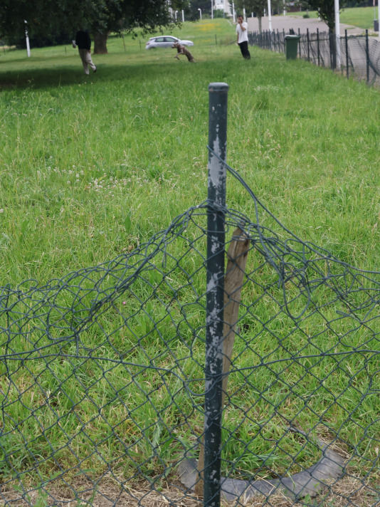 Parque Canino del Bertón