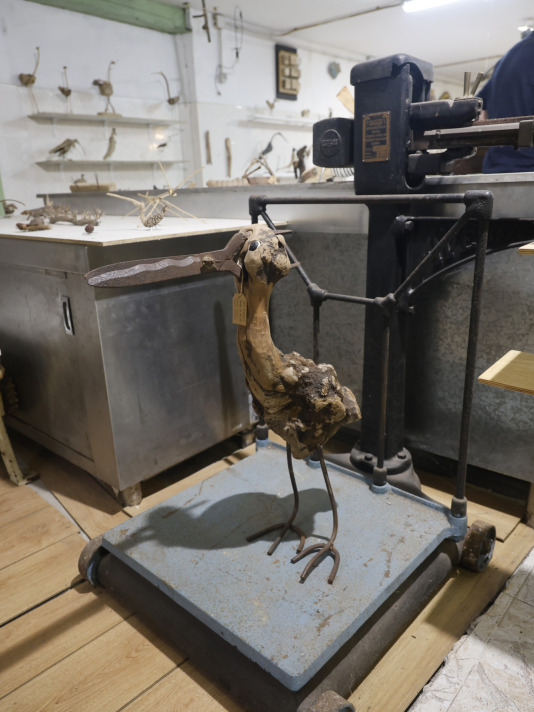 Taller de Tin Sánchez Espiñeira
