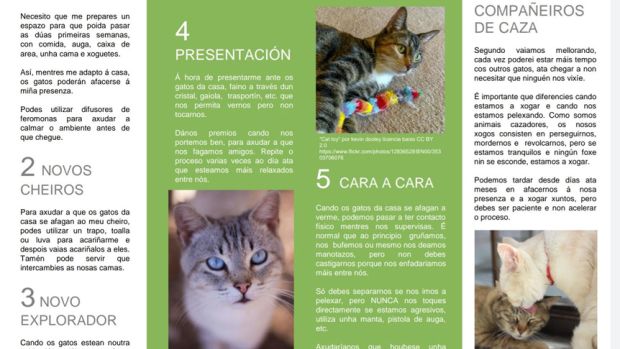 El ideal gallego