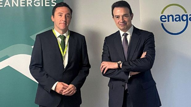 El ideal gallego