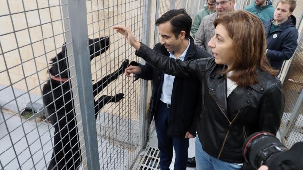 El ideal gallego