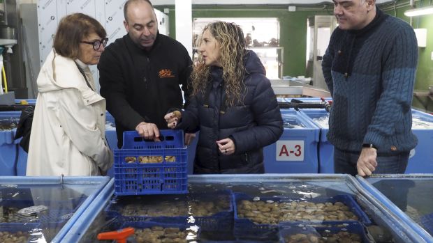 El ideal gallego