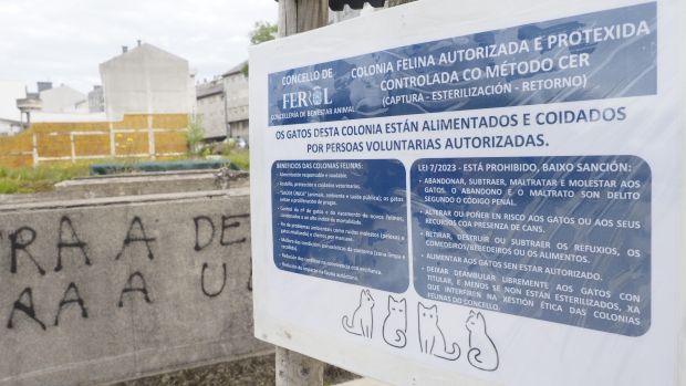 El ideal gallego