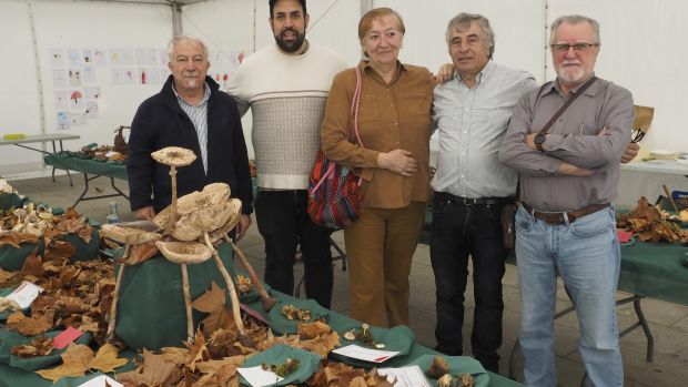El ideal gallego
