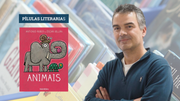 El ideal gallego
