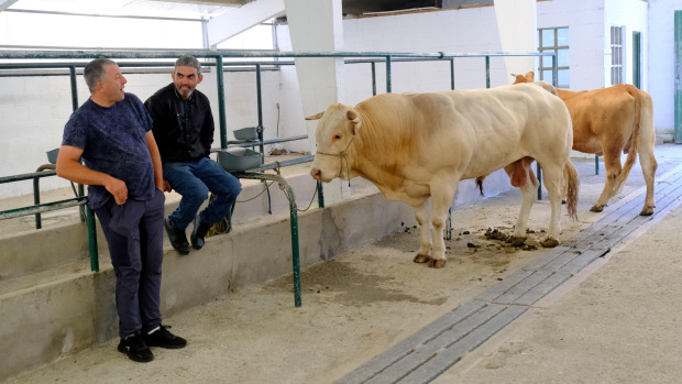 Dos ganaderos en la Feira do Gando Vacún de Moeche