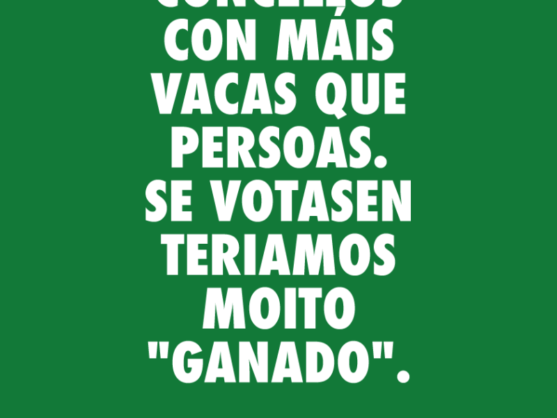 LEYMA VERDE faseteaser