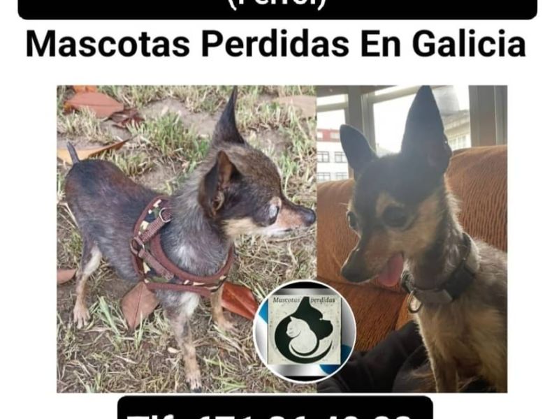 Img 1 1691478784926