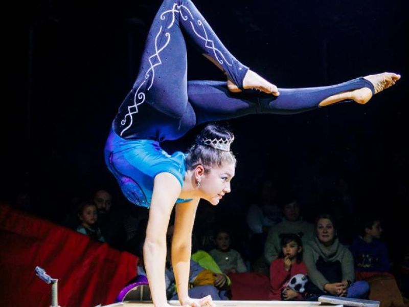 Global Circus 2