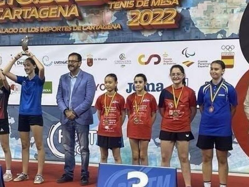 Tenis de mesa Lucu00eda Saura