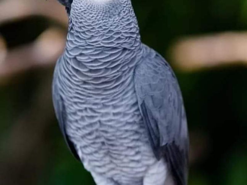 PHOTO 2023 07 12 14 14 25