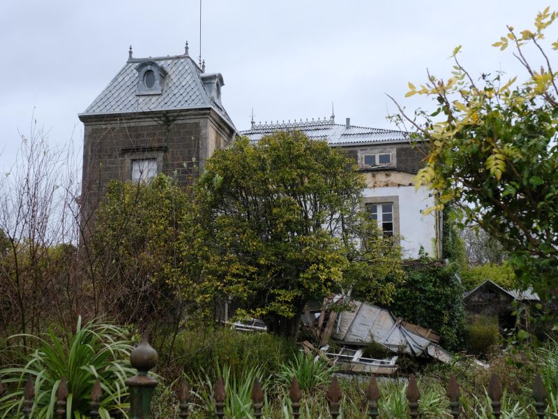 DSCF0358 13435922