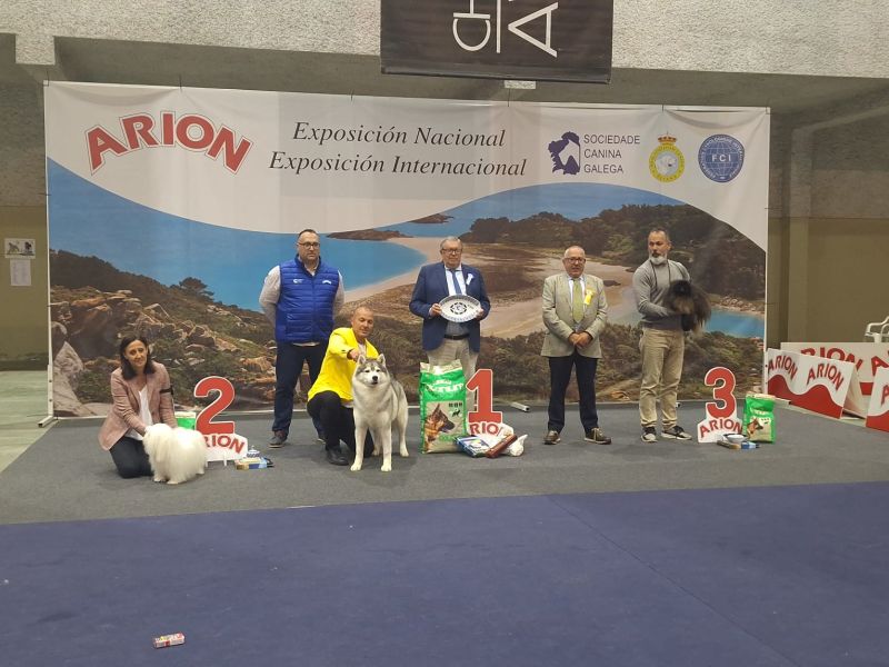 Juan Gomariz Cerdido exposicion canina (1)