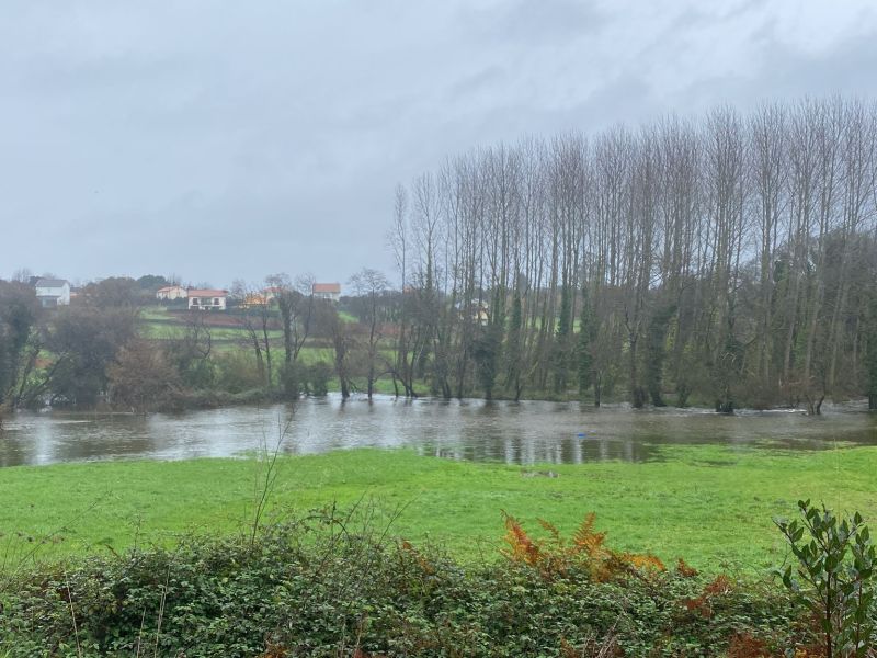 Finca yegua Valdoviu00f1o inundada