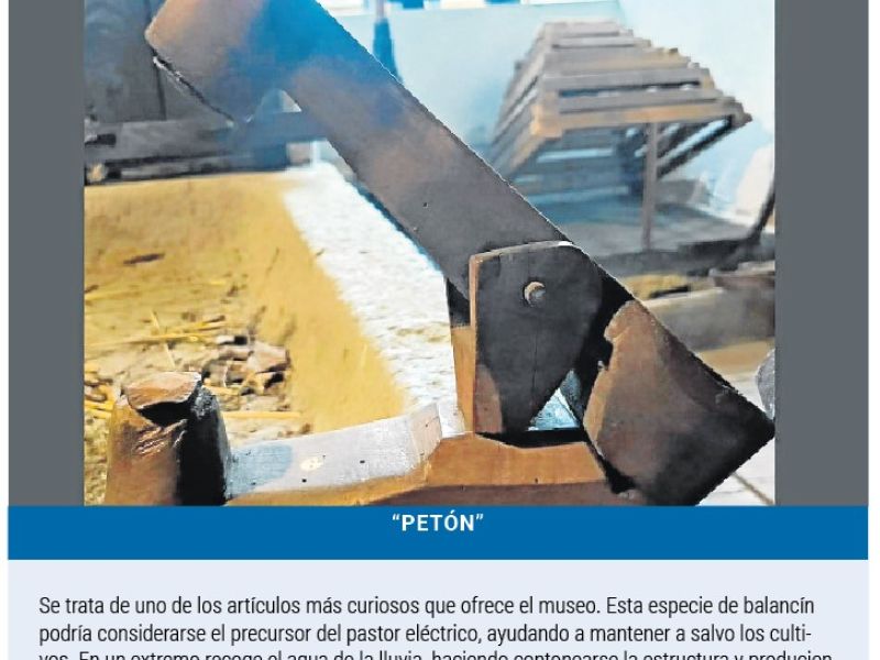 Petón