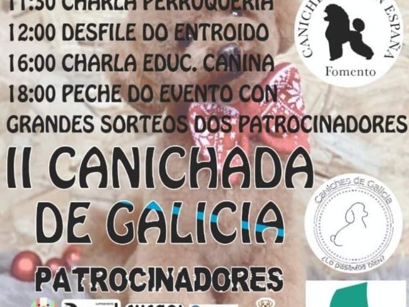 Cartaz canichada