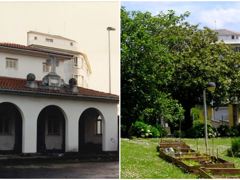 Horta