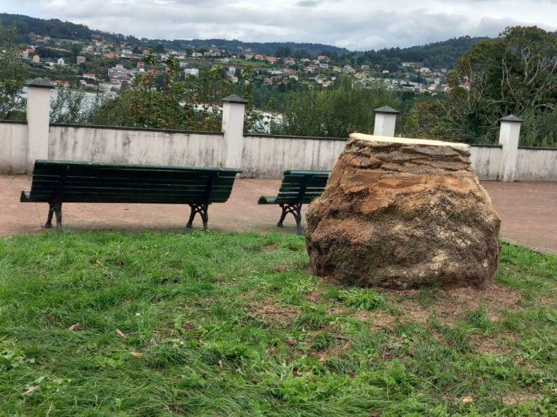 Tala palmeras Pontedeume 1