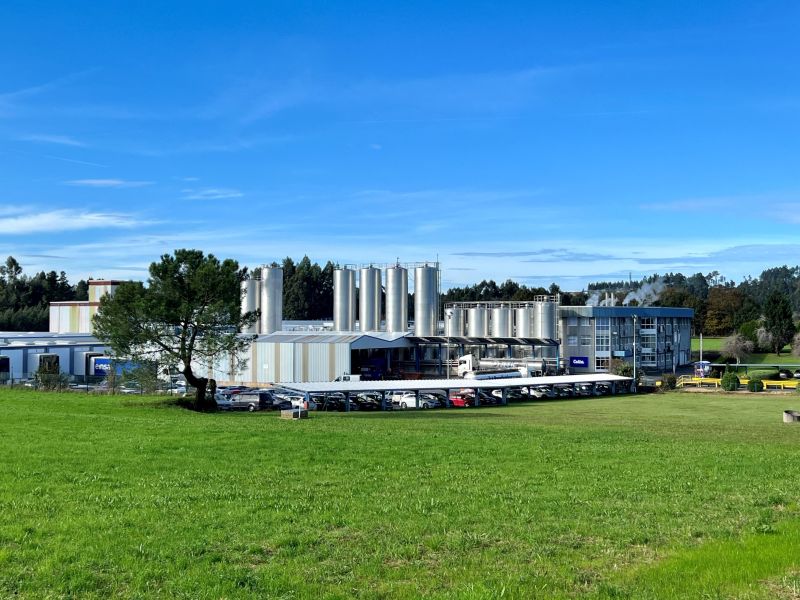 Planta PONTEDEUME exterior