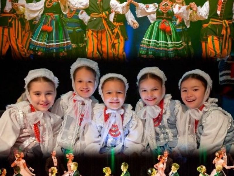 WICI SONG&DANCE COMPANY