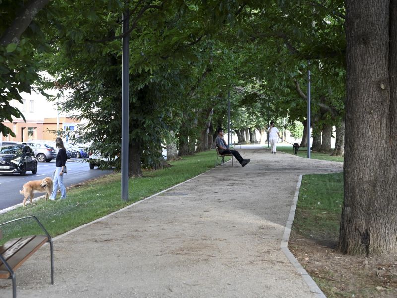  DSC9621 15425241