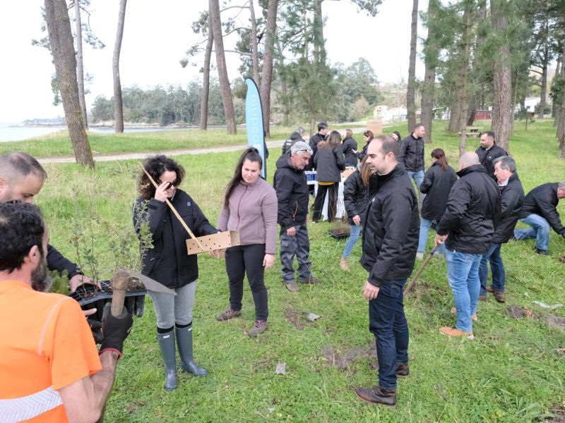 Reforestacion pinar Cabanas Daniel Alexandre