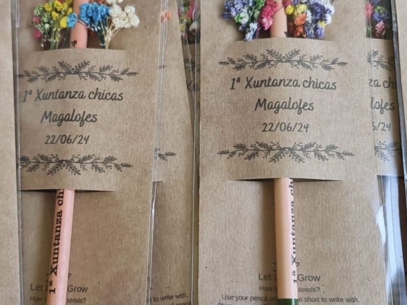 Xuntanza mulleres Magalofes (2)
