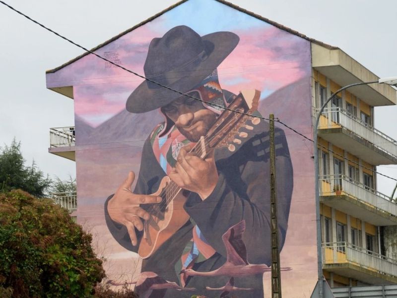 Charanguista andino