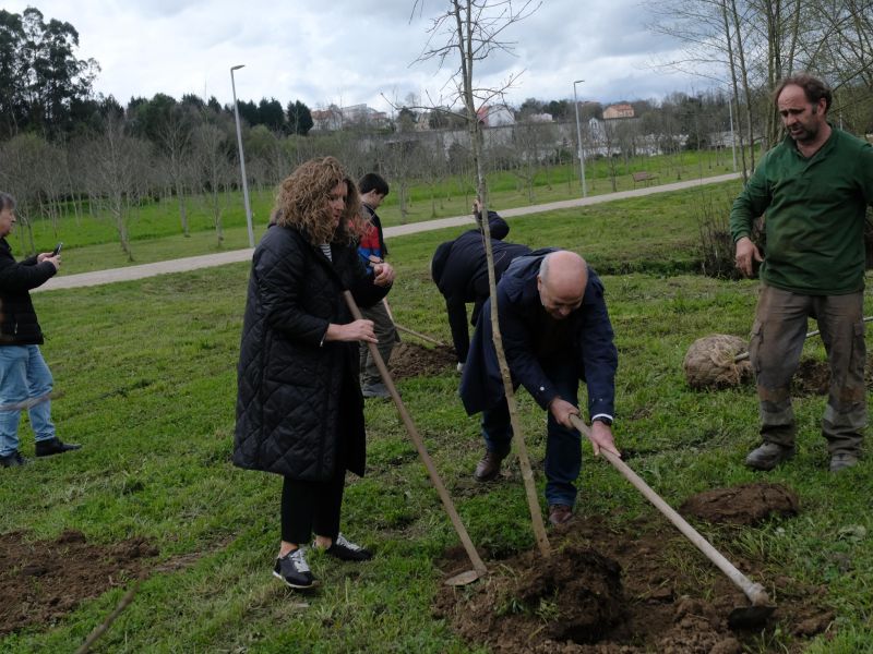 Plantacion arboles parque Freixeiro Naron 2