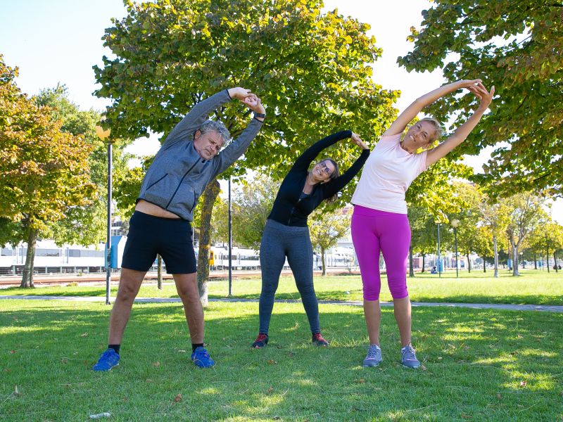 Personas maduras deportivas activas haciendo ejercicio matutino en el parque de pie sobre el cesped y doblando los troncos concepto de jubilacion o estilo de vida activo