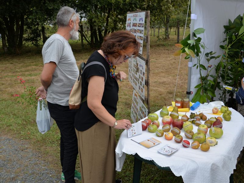 Feira Rural 3Juan Rey