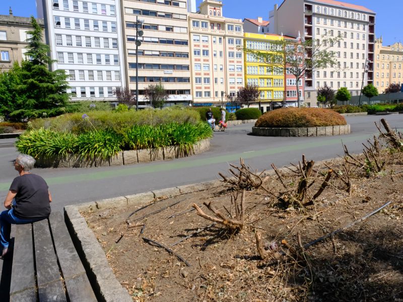 DSCF9688 14163417