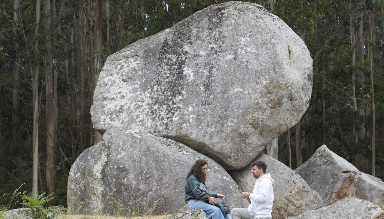 Pena molexa 2