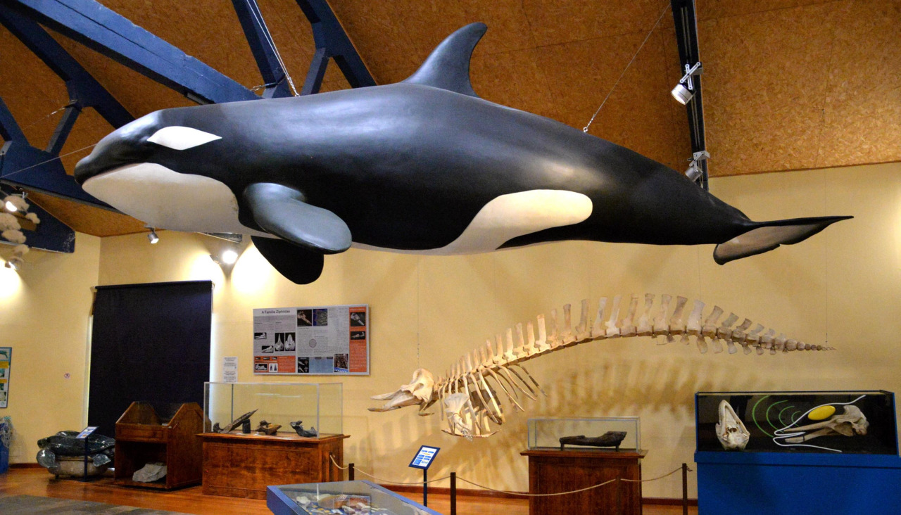 El Museo de Historia Natural situado en Canido