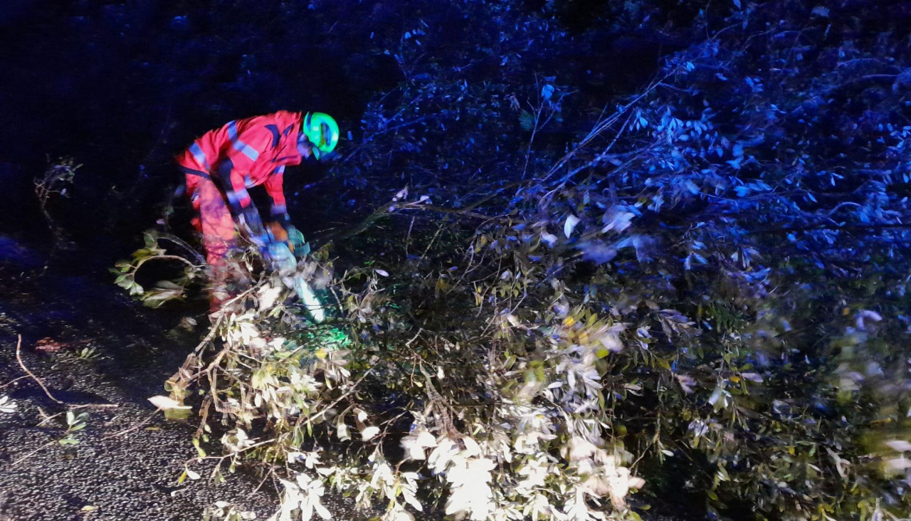 Bomberos naroneses despejando las vías afectadas por los árboles