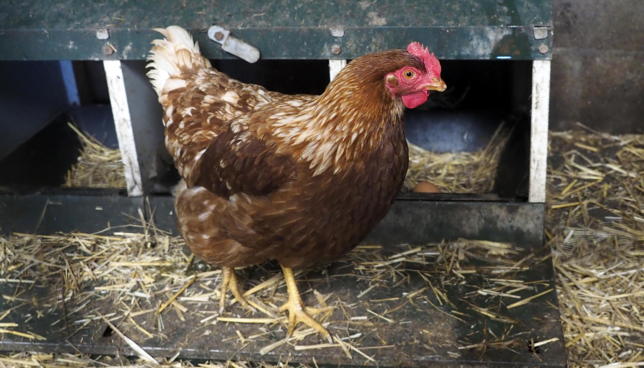 La bajada de temperaturas y la migración de especies elevan el riesgo