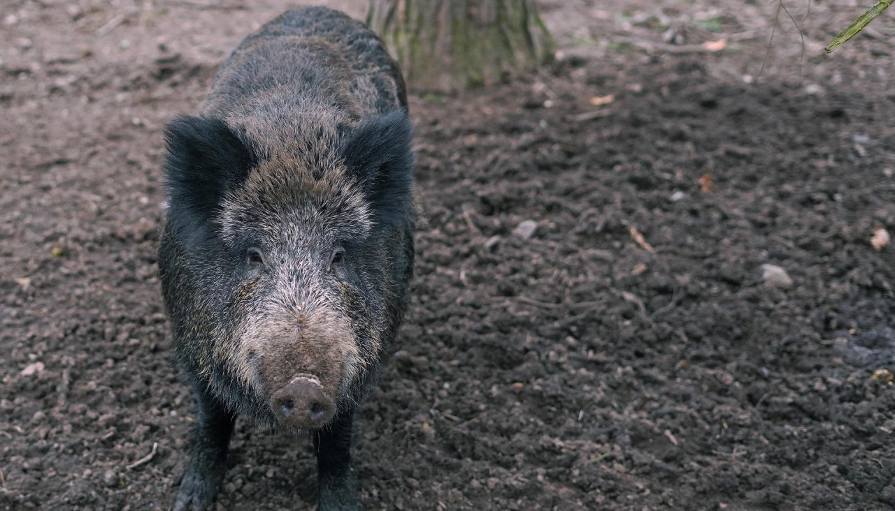 Las medidas extraordinarias de la Xunta estarán activas hasta finales de febrero