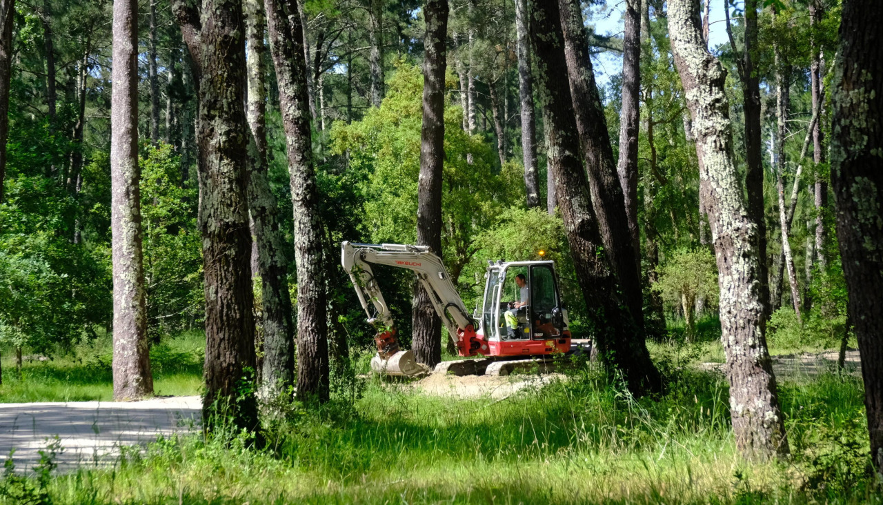 Obras en el pinar de Cabanas el pasado mayo de 2025