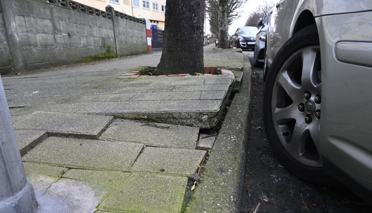 Alcorques en Pérez Parallé