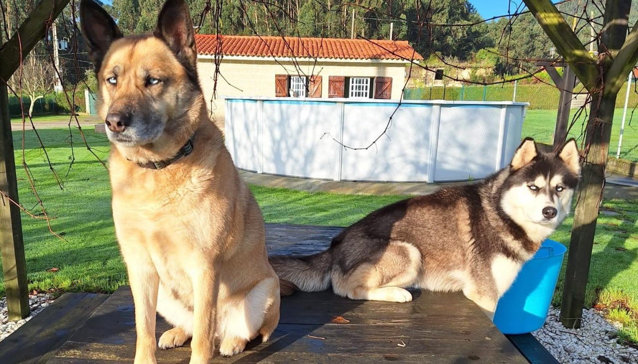 Abby y Black ya vuelven a estar en casa