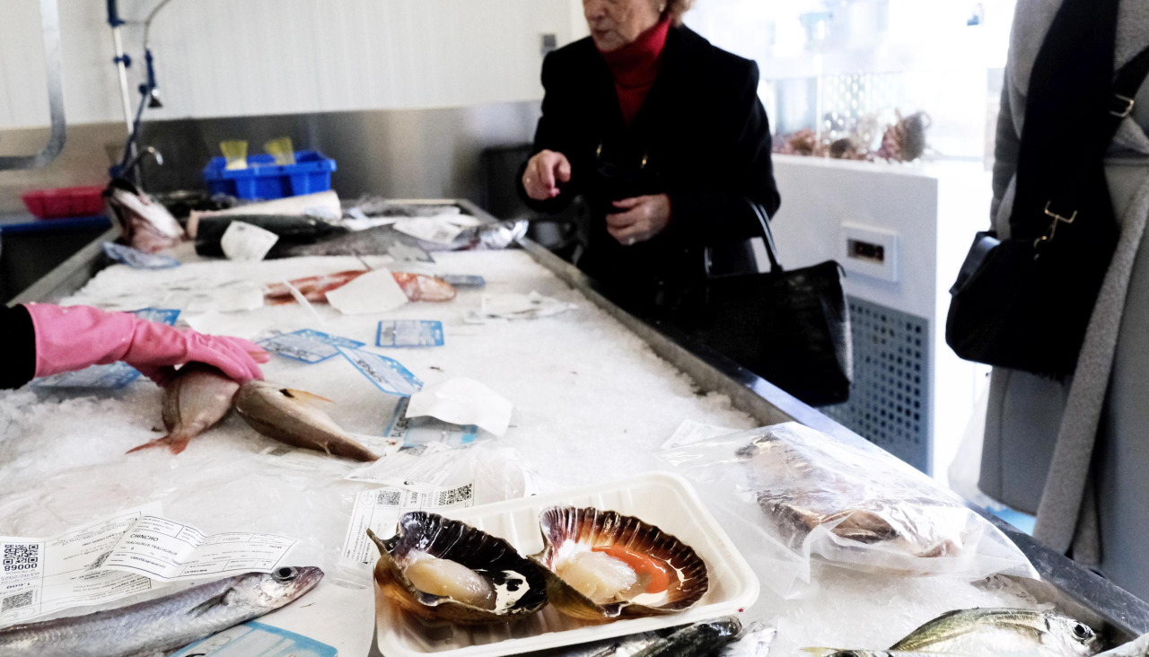 Vieira en la pescadería A túa lonxa, de la cofradía de Ferrol