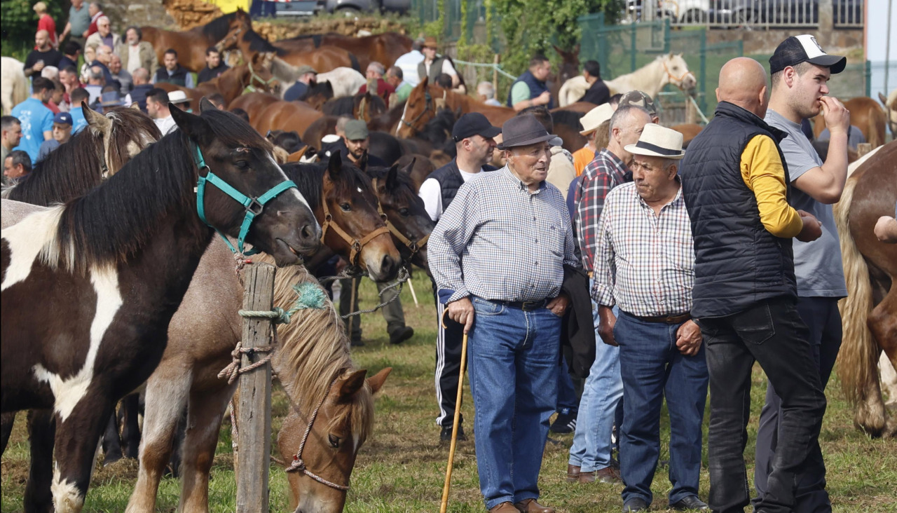 Feira do Cabalo de  Moeche