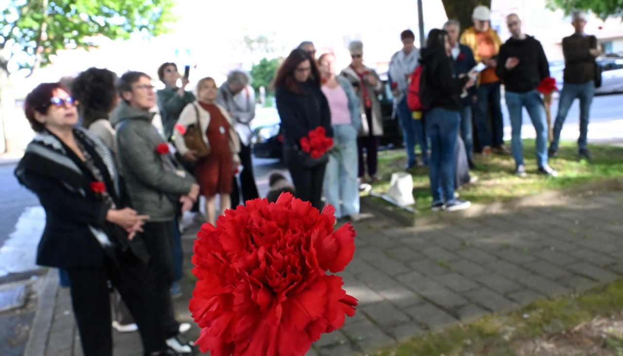 Canido celebración del 25 de Abril