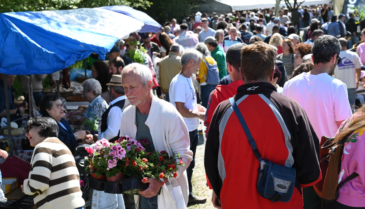 Feira plantación 2026