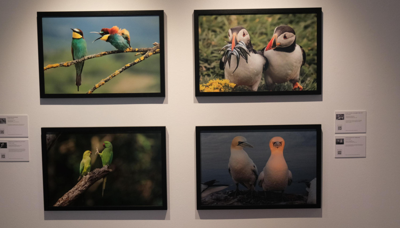 Parte da mostra acollida, no 2024, por Afundación de Ferrol