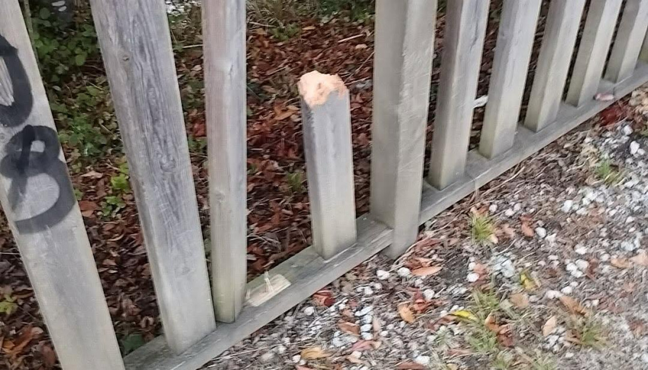pontedeume alcalde vandalismo cedida