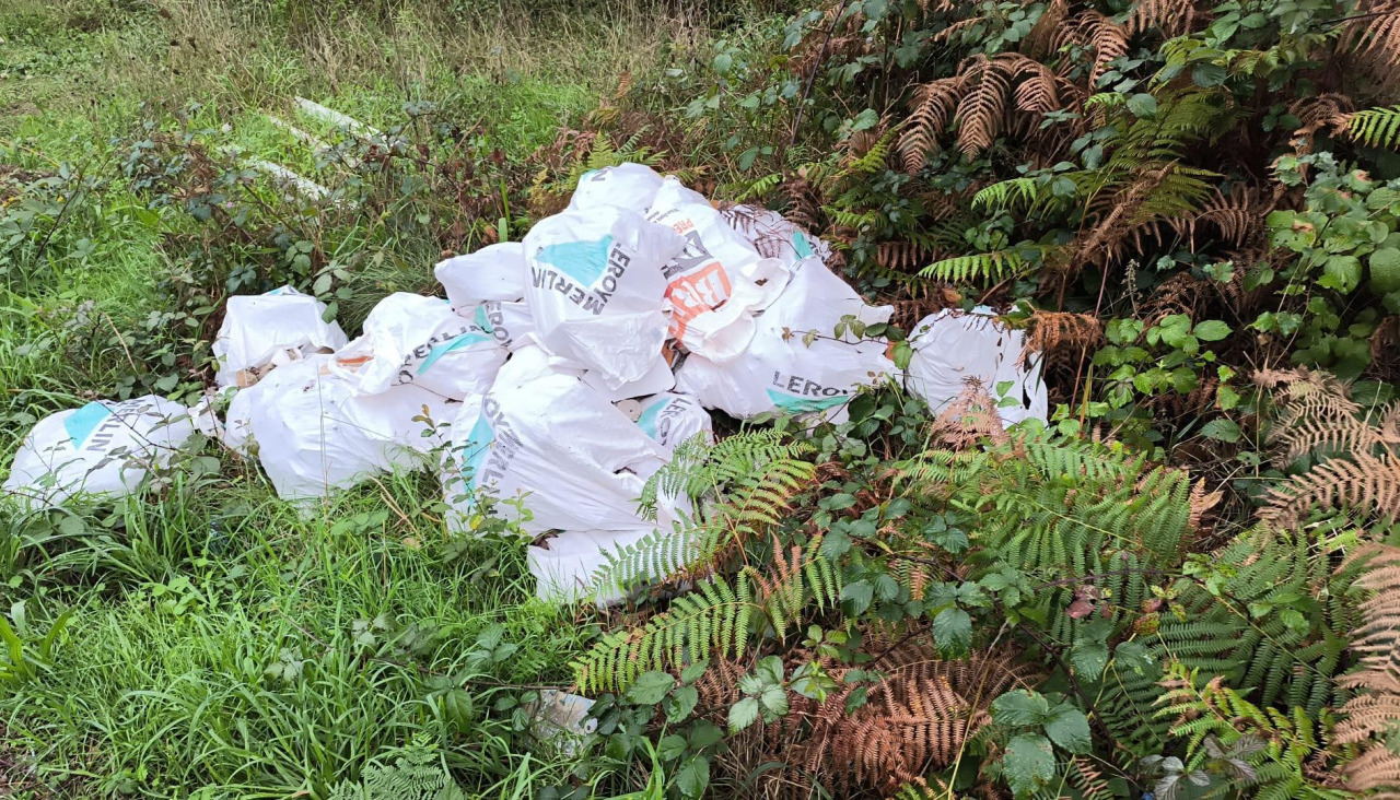 Imagen de uno de los puntos que acumula basura en Cerdido
