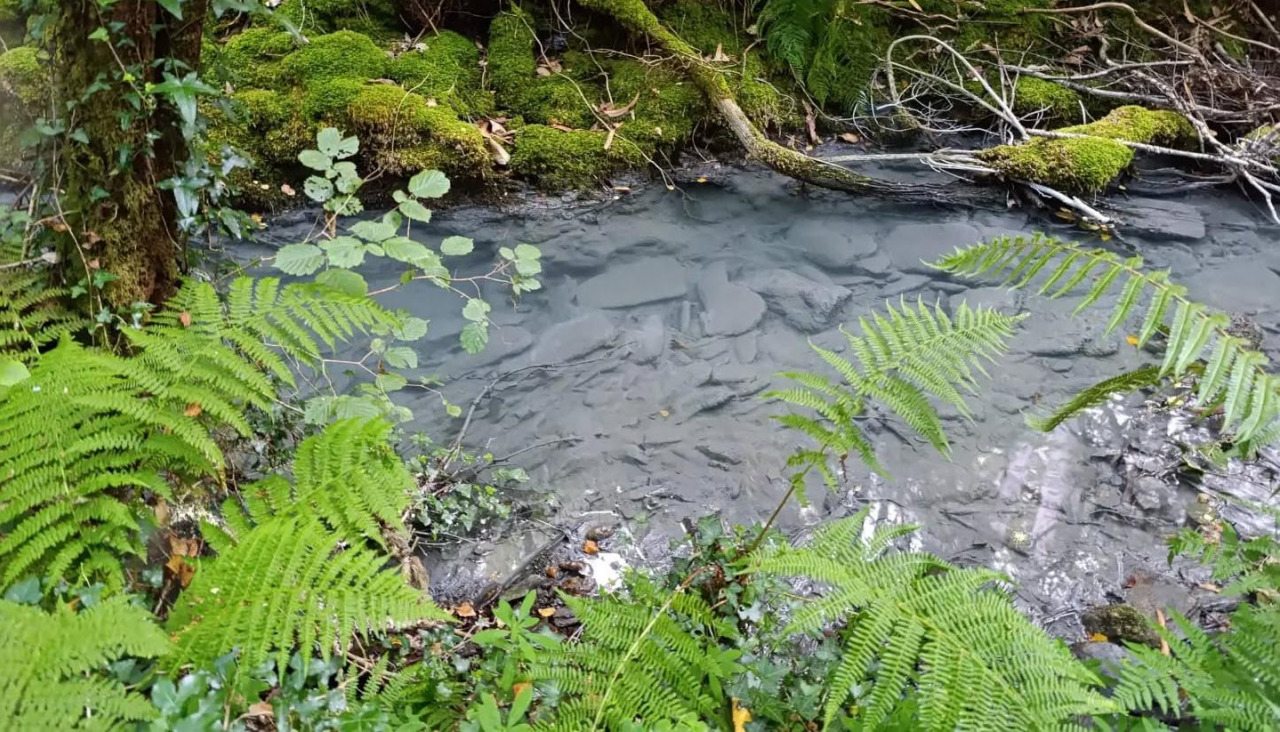 Residuos en el cauce fluvial