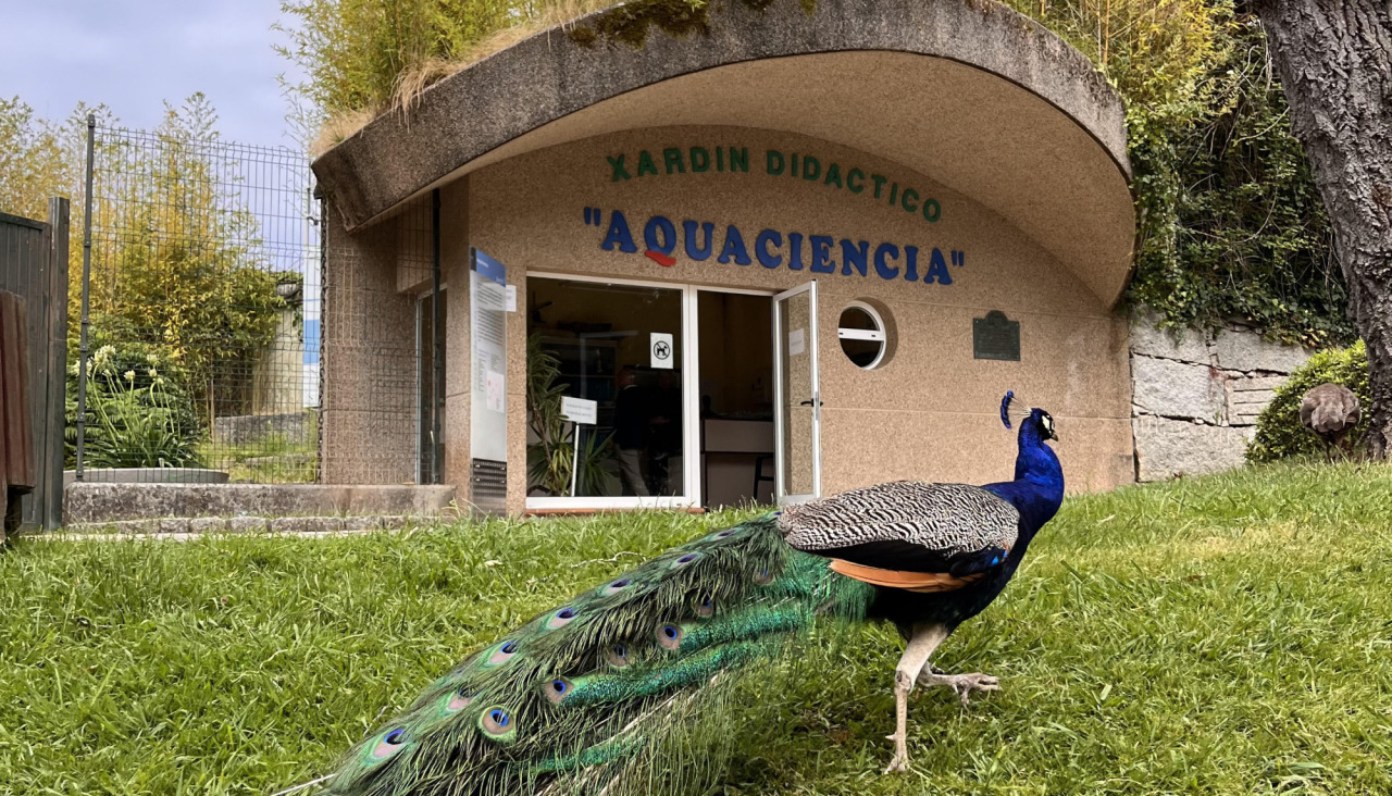 VISITA A AQUA CIENCIA ANTES DE SU ARREGLO (40)
