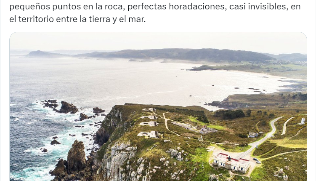 Torrijos 20